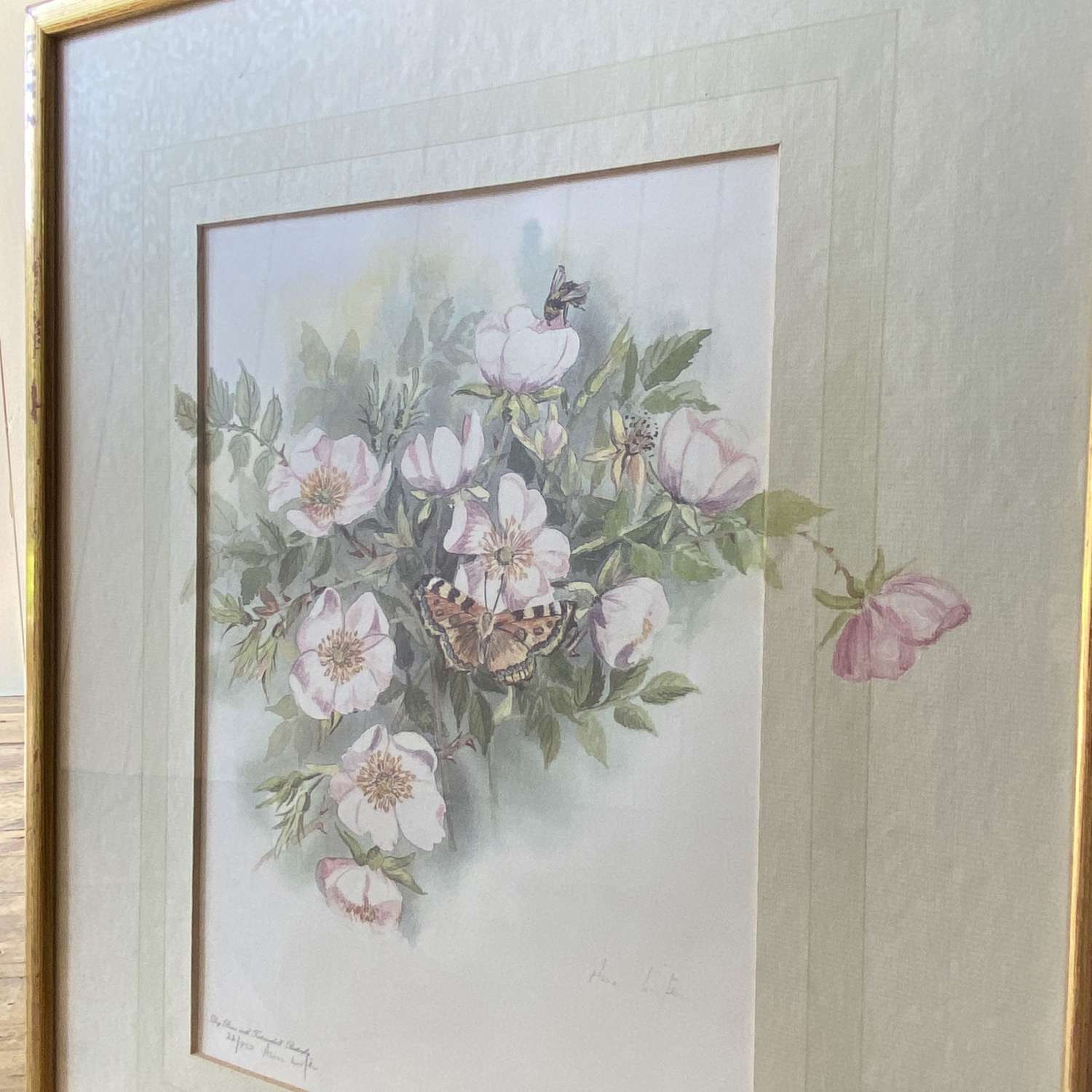 Watercolour painting by Ann Lister