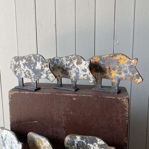 Metal Shooting Targets - Boar/Pig